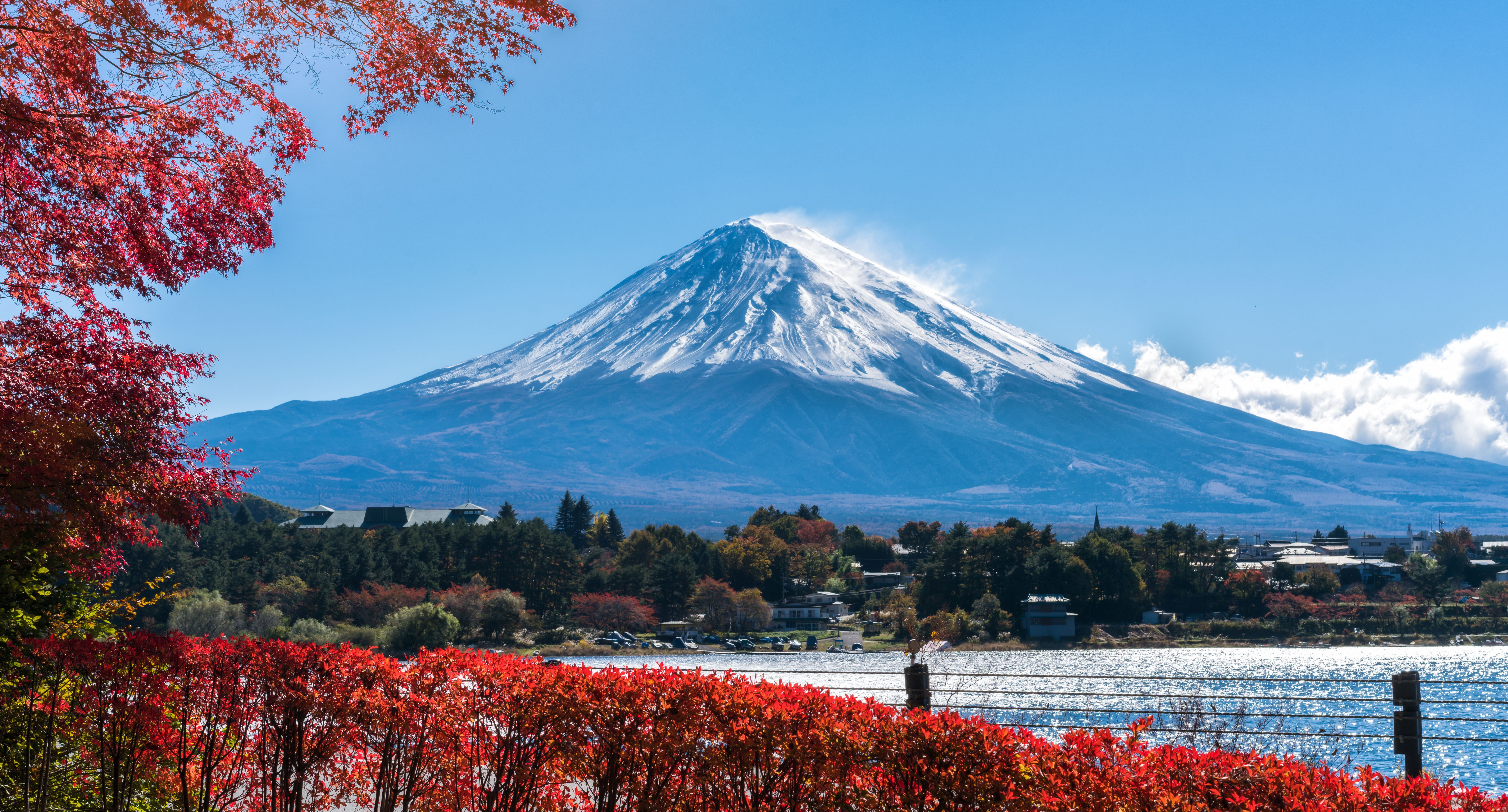 Photo of Pimsleur Japanese Review